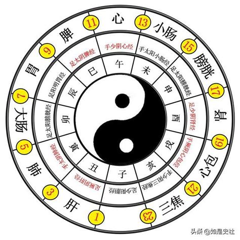 八卦運|易經入門：太極、兩儀、四象、八卦是什麼意思？